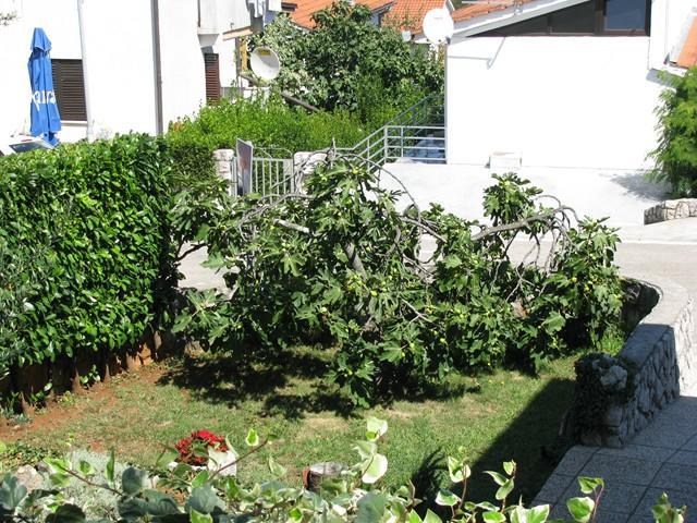 Apartman "Ela" Нивице Екстериор снимка